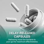 Christensenella Minuta and Akkermansia, Bifidobacterium longum, 8 Probiotic Strains, 50 Billion CFU with Cranberry Extract, Gut Health & Immune Support