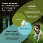 Joint & Muscle Health (Medium & Large Dogs)