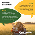 Joint & Muscle Health (Medium & Large Dogs)