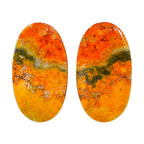 Indonesian Bumble Bee Pair 15x26.8x4 mm Oval Shape Polished Gemstone LS69-04118