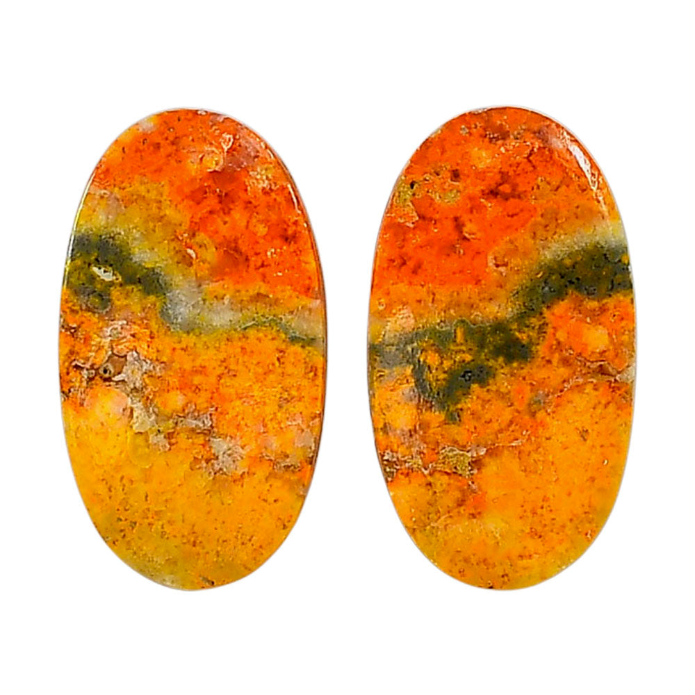 Indonesian Bumble Bee Pair 15x26.8x4 mm Oval Shape Polished Gemstone LS69-04118