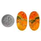 Indonesian Bumble Bee Pair 15x26.8x4 mm Oval Shape Polished Gemstone LS69-04118