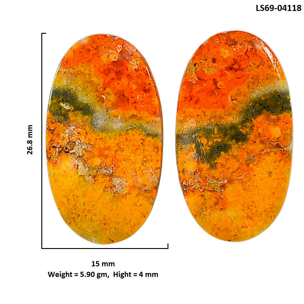 Indonesian Bumble Bee Pair 15x26.8x4 mm Oval Shape Polished Gemstone LS69-04118