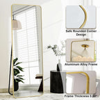 Goldtone 56X21 Complete Length Floor Standing Mirror